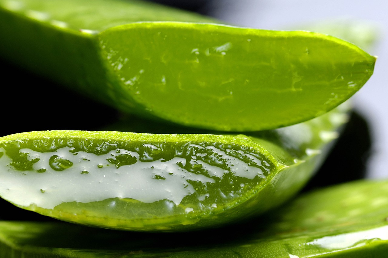 Aloe vera hair mask for shiny, healthy hair